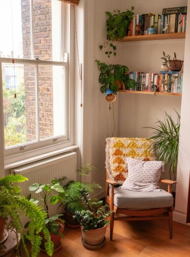 Professional Indoor Plant Styling – Jungle Curator A professionally styled indoor plant sanctuary featuring lush greenery and biophilic design elements by Jungle Curator.