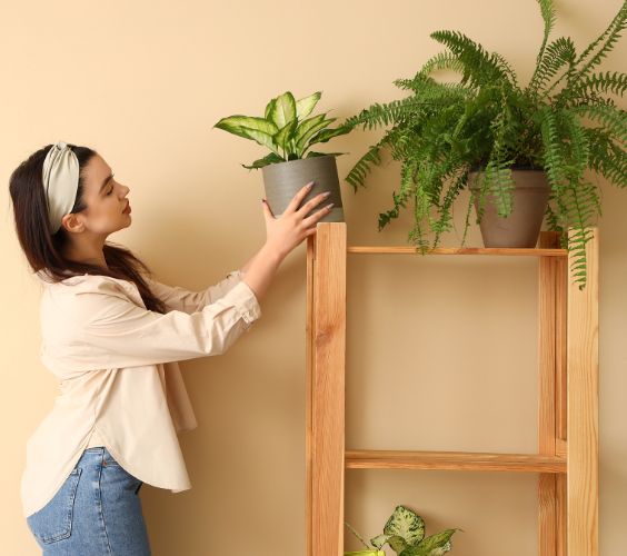 Jungle Curator founder providing botanical styling and plant-led wellness consulting for caring professionals in Brisbane and across Australia.