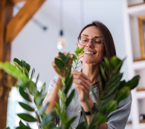 Lush green indoor plants in a bright, minimalist office setting providing a calming sanctuary for busy professionals.